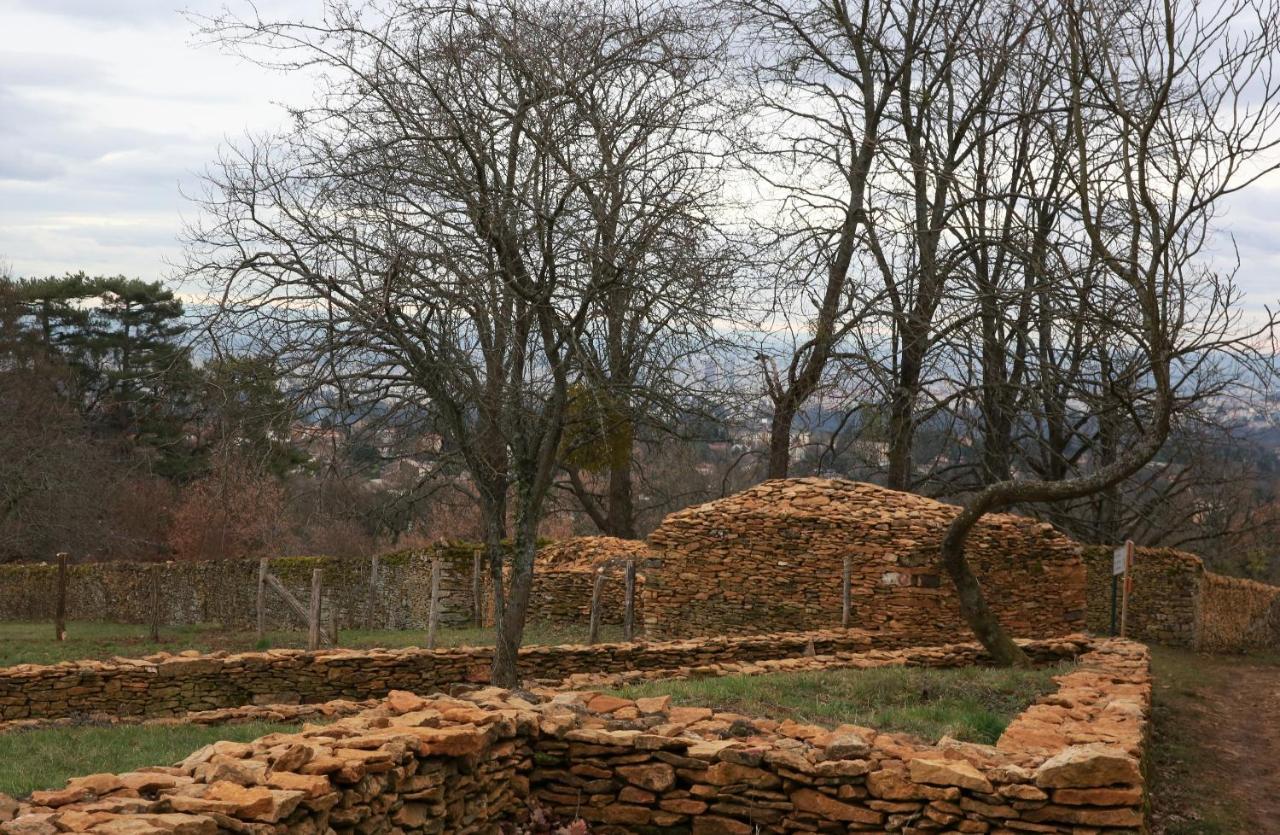 Maison Cube Saint-Didier-au-Mont-d'Or Dış mekan fotoğraf